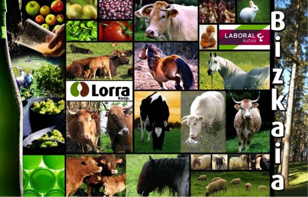 Lorra
