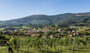Bodega-Doniene-Gorrondona