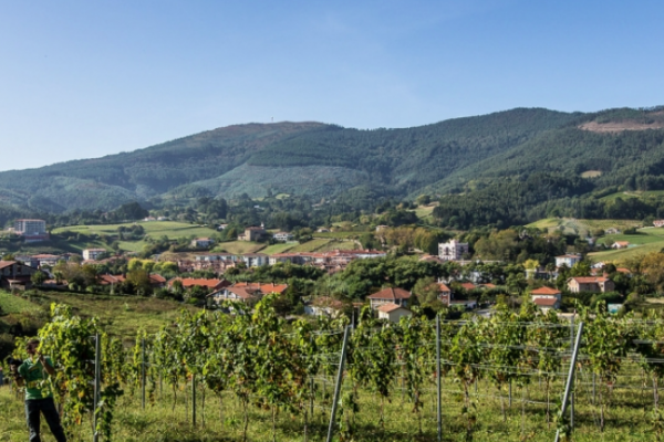 Bodega-Doniene-Gorrondona