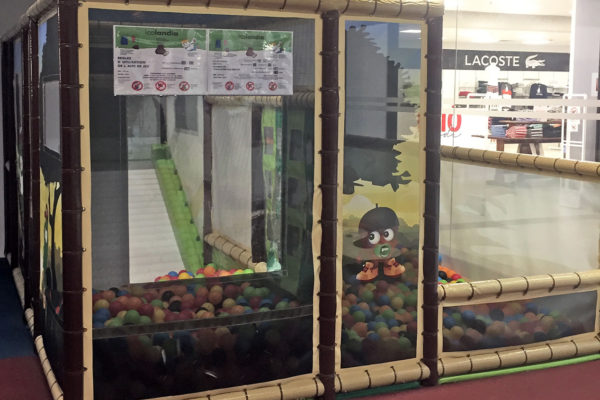 Dantxarinea-Icolandia