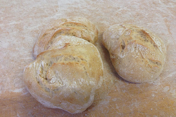 Pan Bizkarra Proyecto Aktibal