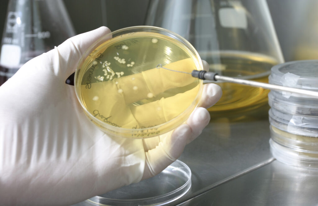 Limpieza urbana sostenible A&B Laboratorios