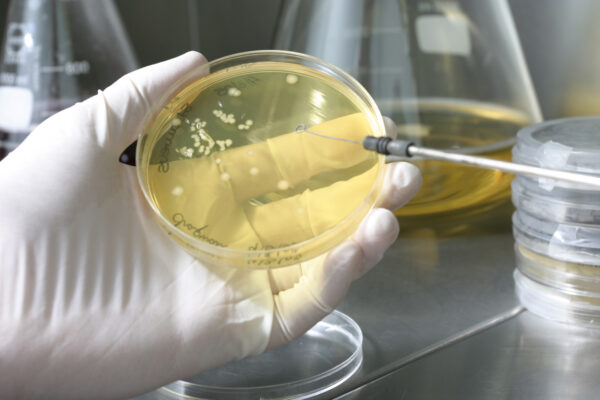 Limpieza urbana sostenible A&B Laboratorios