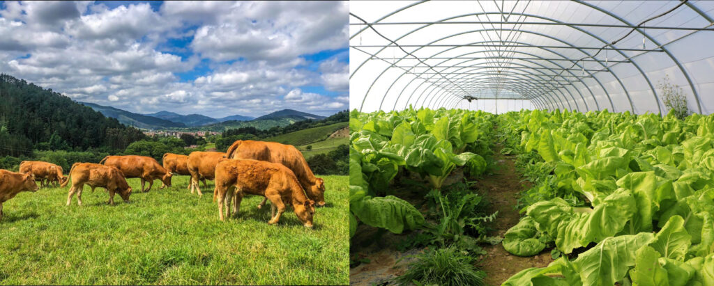 Lursail centro de asesoramiento para el agro vasco