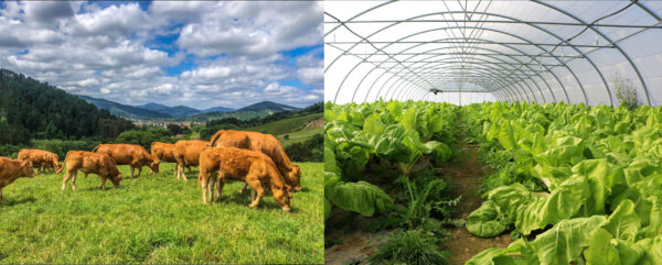 Lursail centro de asesoramiento para el agro vasco
