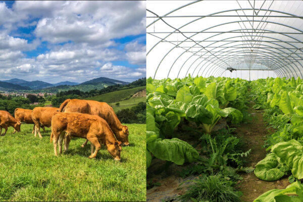 Lursail centro de asesoramiento para el agro vasco